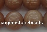 CMS936 15.5 inches 16mm round A grade moonstone gemstone beads