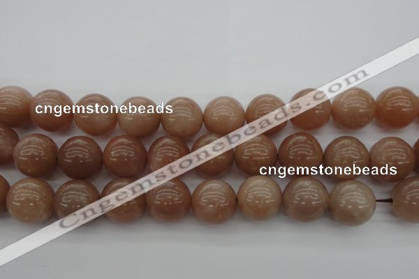 CMS936 15.5 inches 16mm round A grade moonstone gemstone beads