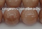 CMS937 15.5 inches 18mm round A grade moonstone gemstone beads