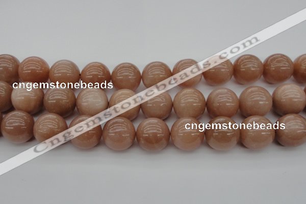 CMS937 15.5 inches 18mm round A grade moonstone gemstone beads