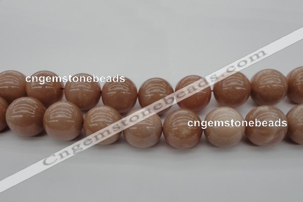 CMS938 15.5 inches 20mm round A grade moonstone gemstone beads