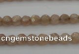 CMS940 15.5 inches 4mm faceted round A grade moonstone gemstone beads