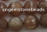 CMS944 15.5 inches 12mm faceted round A grade moonstone gemstone beads