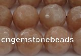 CMS945 15.5 inches 14mm faceted round A grade moonstone gemstone beads