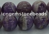 CNA1005 15.5 inches 14mm round dogtooth amethyst beads wholesale