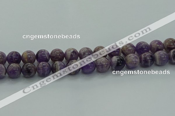 CNA1005 15.5 inches 14mm round dogtooth amethyst beads wholesale