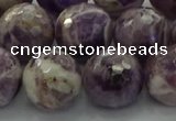 CNA1015 15.5 inches 14mm faceted round dogtooth amethyst beads
