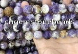 CNA1091 15.5 inches 14mm faceted round dogtooth amethyst beads