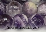 CNA1247 15 inches 10mm faceted round dogtooth amethyst beads