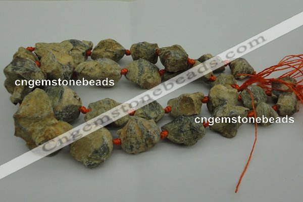 CNG1045 15.5 inches 15*20mm - 25*35mm nuggets inkstone fossil beads