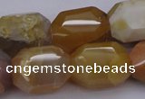 CNG1070 15.5 inches 13*18mm - 16*22mm faceted nuggets Botswana agate beads