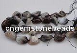 CNG1097 15.5 inches 18*25mm - 25*35mm nuggets botswana agate beads