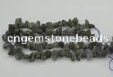 CNG1159 15.5 inches 8*12mm - 13*18mm nuggets labradorite beads