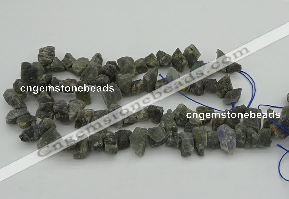 CNG1159 15.5 inches 8*12mm - 13*18mm nuggets labradorite beads
