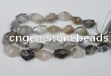 CNG1712 15.5 inches 15*20mm - 20*30mm nuggets botswana agate beads