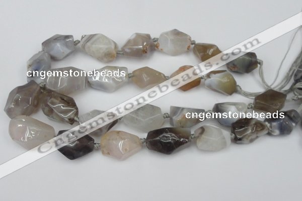 CNG1712 15.5 inches 15*20mm - 20*30mm nuggets botswana agate beads