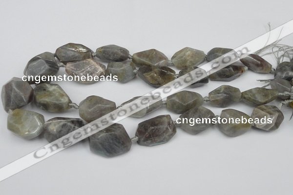 CNG1715 15.5 inches 15*20mm - 20*30mm nuggets labradorite beads