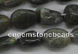 CNG230 15.5 inches 15*20mm nuggets labradorite gemstone beads