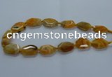 CNG2635 15.5 inches 18*28mm - 20*30mm freeform agate beads