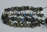 CNG2825 15.5 inches 13*18mm - 15*20mm freeform labradorite beads