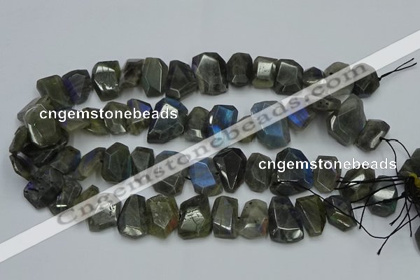 CNG2825 15.5 inches 13*18mm - 15*20mm freeform labradorite beads