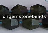 CNG2831 15.5 inches 13*15mm - 15*17mm faceted nuggets labradorite beads