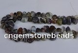 CNG2837 15.5 inches 8*12mm - 15*20mm nuggets botswana agate beads