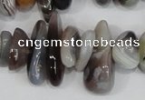 CNG316 15.5 inches 3*6mm - 5*22mm nuggets botswana agate beads