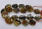 CNG3192 15.5 inches 22*30mm - 30*40mm freeform opal gemstone beads