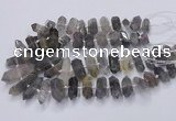 CNG3206 15.5 inches 10*25mm - 12*45mm faceted nuggets cloudy quartz beads