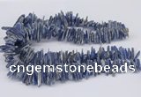 CNG3382 15.5 inches 3*15mm - 5*30mm sticks blue kyanite beads