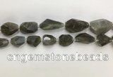 CNG3589 13*18mm - 15*30mm faceted nuggets labradorite beads