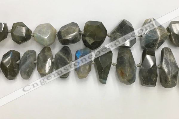 CNG3591 15*25mm - 25*35mm faceted nuggets labradorite beads