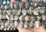 CNG3605 15.5 inches 13*20mm - 15*24mm faceted nuggets moonstone beads