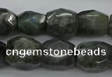 CNG5007 15.5 inches 10*14mm - 13*18mm faceted nuggets labradorite beads