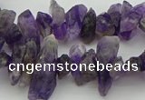 CNG5030 15.5 inches 4*8mm - 6*15mm nuggets amethyst beads