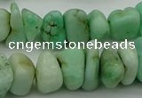 CNG5043 15.5 inches 6*10mm - 12*18mm nuggets Australia chrysoprase beads