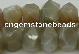 CNG5055 15.5 inches 13*18mm - 15*20mm faceted nuggets moonstone beads