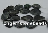 CNG5081 15.5 inches 20*30mm - 35*45mm freeform labradorite beads