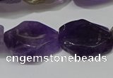 CNG5104 15.5 inches 14*20mm - 18*25mm freeform amethyst beads