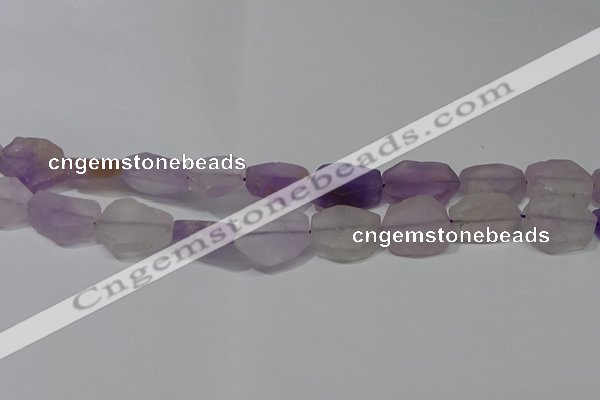 CNG5117 15.5 inches 14*20mm - 18*25mm freeform matte amethyst beads