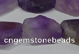 CNG5118 15.5 inches 14*20mm - 18*25mm freeform matte amethyst beads