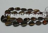 CNG5169 15.5 inches 16*22mm - 30*35mm freeform tiger iron beads