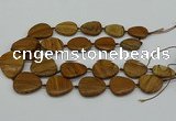 CNG5172 15.5 inches 16*22mm - 30*35mm freeform picture jasper beads