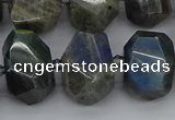 CNG5222 15.5 inches 12*16mm - 15*20mm faceted nuggets labradorite beads