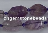 CNG5226 15.5 inches 10*15mm - 15*25mm faceted nuggets amethyst beads