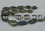 CNG5255 15.5 inches 22*30mm - 35*45mm faceted freeform labradorite beads