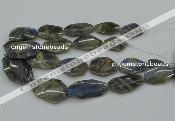 CNG5255 15.5 inches 22*30mm - 35*45mm faceted freeform labradorite beads