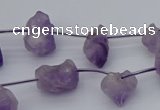 CNG5260 15.5 inches 5*8mm - 15*20mm nuggets amethyst beads