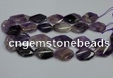 CNG5264 20*30mm - 22*35mm faceted freeform dogtooth amethyst beads